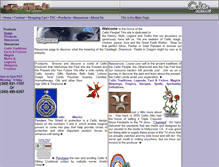 Tablet Screenshot of celticcallings.com
